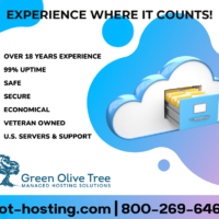 Green Olive Tree